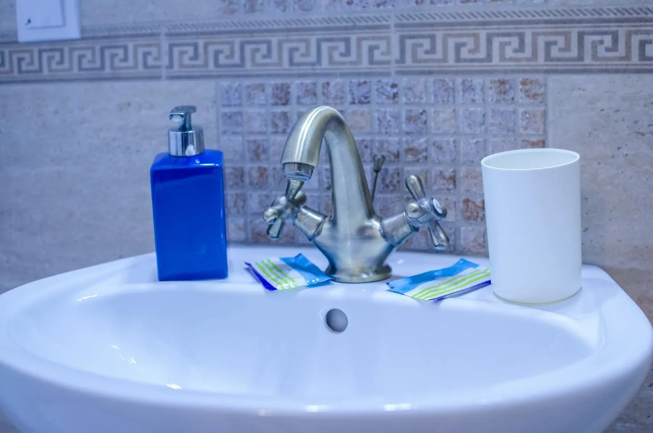 City Lux Villa Bucharest Guest house